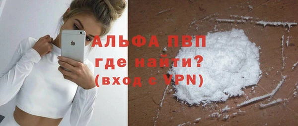 шишки Инта