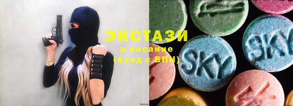 шишки Инта