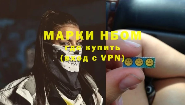 шишки Инта