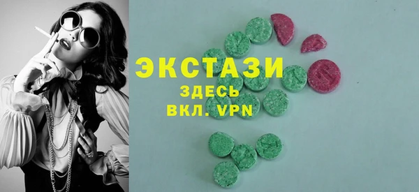 шишки Инта