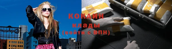 соль курить ск Каменка