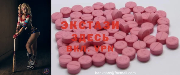 шишки Инта