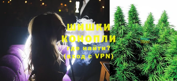 шишки Инта