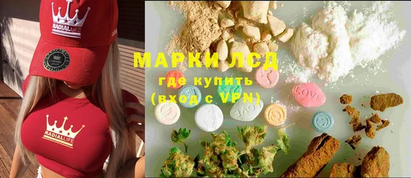 шишки Инта