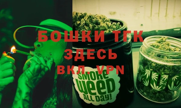 соль курить ск Каменка