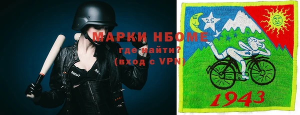 шишки Инта