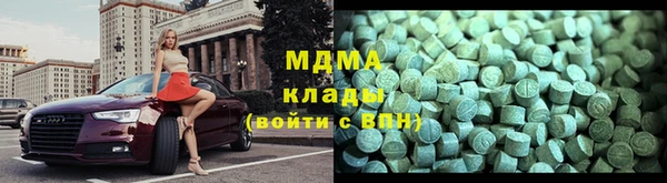 шишки Инта