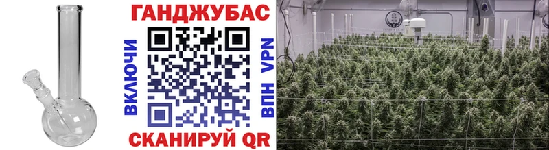 Канабис SATIVA & INDICA Жуковский